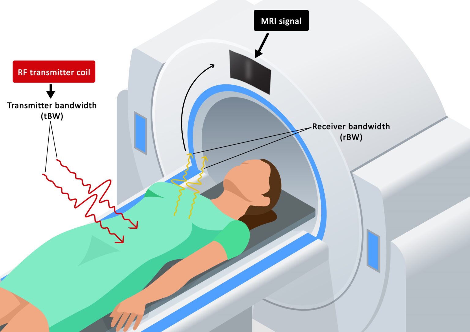 MRI bandwidth and image quality | How to manipulate transmitter ...